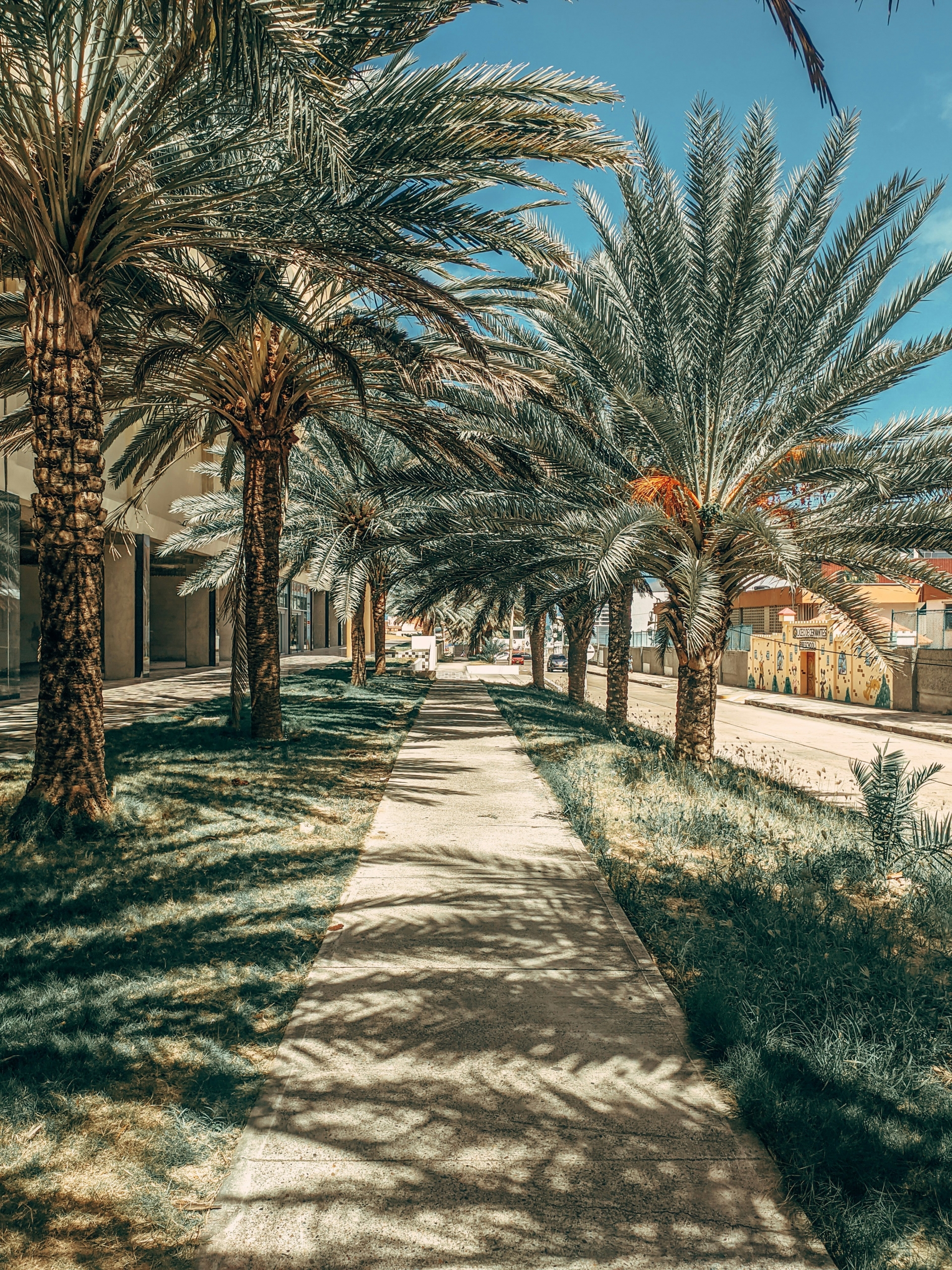Jumeirah Village Circle